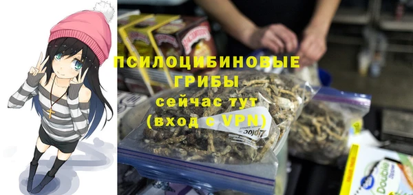 первитин Горнозаводск