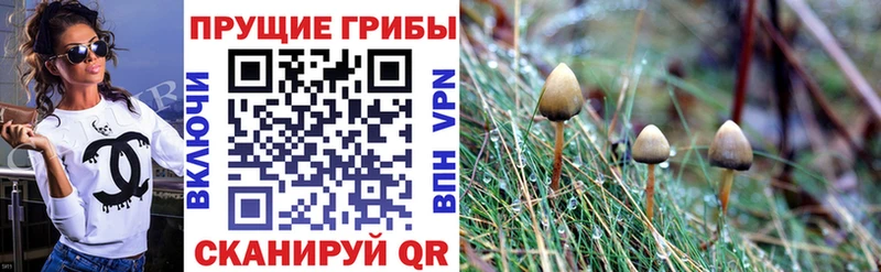 Псилоцибиновые грибы мицелий Облучье